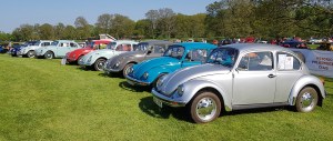 Classic beetles at Stanford Hall VW Show